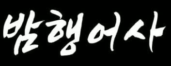 밤행어사